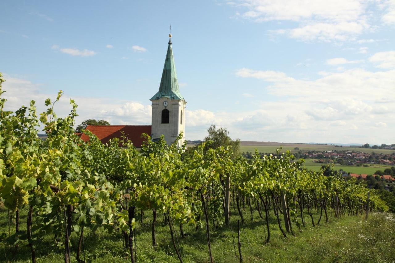 Ubytování ve Vinařství Medek | Medek House&Winery Uherské Hradiště Exterior foto